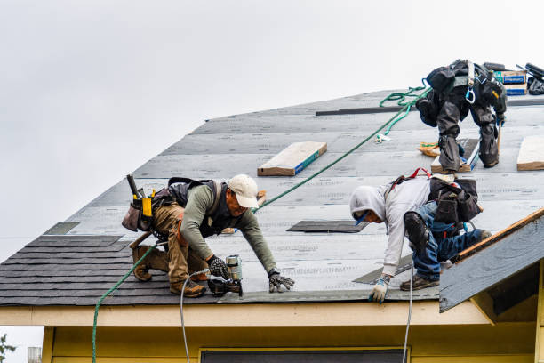 Professional Gutter Installation technician working in New Lothrop, MI